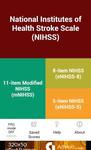 NIH Stroke Scale (NIHSS) 1