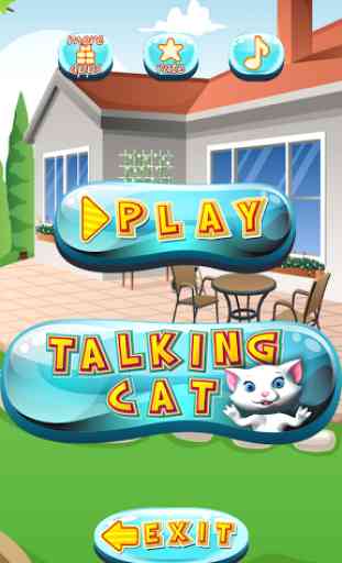 Talking Cat 2