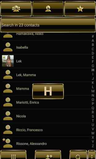 Theme for ExDialer Gold 2 4