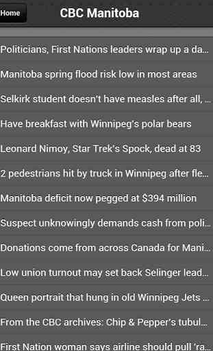 Winnipeg News 2