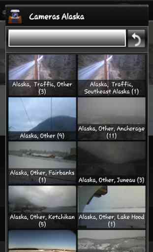 Anchorage and Alaska Cameras 2