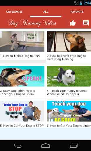 Dog Training 3