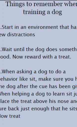 Dog Training 4