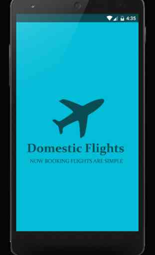 Domestic Flights 1