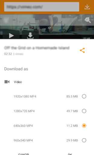 GoTube Video Downloader-Pro 2