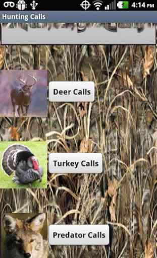 HD Deer Turkey Predator Calls 1