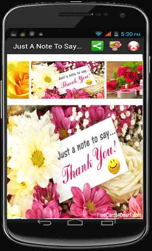 Thank You Cards 4