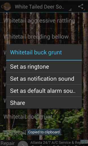 White Tailed Deer Soundboard 3