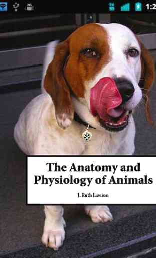 Animal Anatomy and Physiology 1