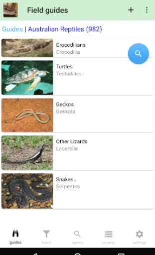 Australian Reptiles and Frogs 1