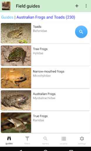 Australian Reptiles and Frogs 2
