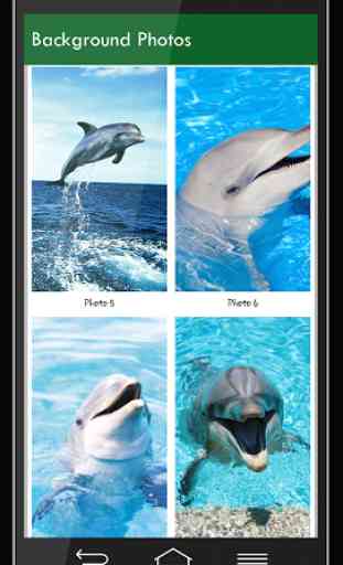 Dolphin Zipper Lock Screen 3