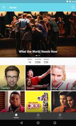 Fandom: Glee 4