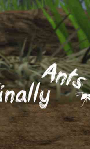 Finally Ants (Unreleased) 1