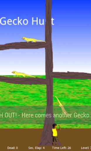 Gecko Hunt 2