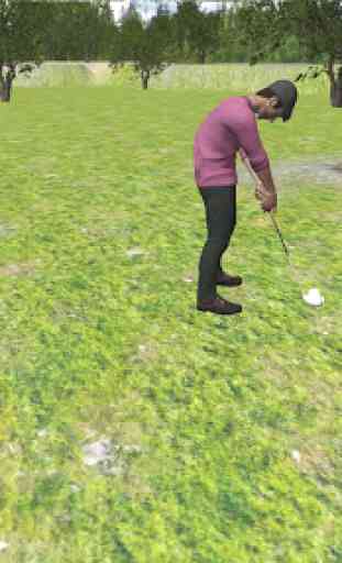 Golf 3D Pro Golf Star 1