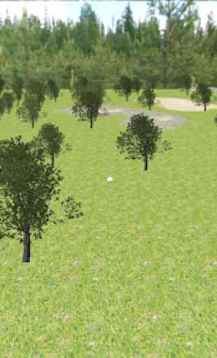 Golf 3D Pro Golf Star 3