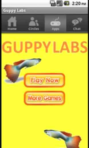 Guppy Labs 1