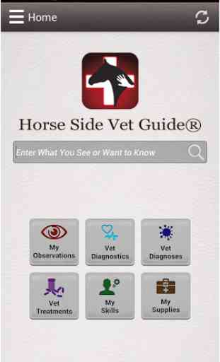 Horse Side Vet Guide 1