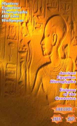 Mystery Egyptian Hieroglyphs 1