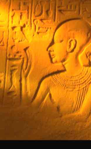 Mystery Egyptian Hieroglyphs 4