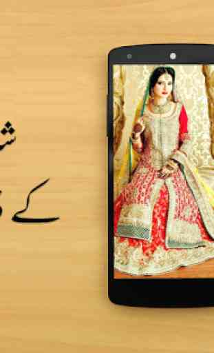 Pakistani Dress Design 1
