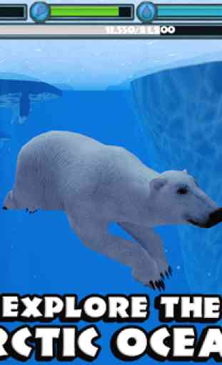Polar Bear Simulator 3