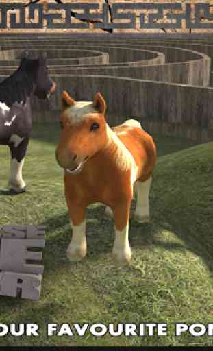 Pony Horse Maze Run Simulator 3
