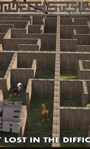 Pony Horse Maze Run Simulator 4