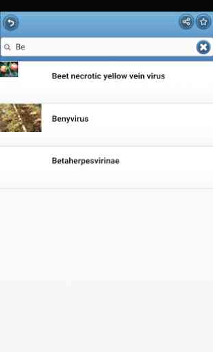 Viruses 4
