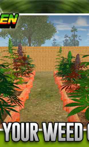 Weed Garden The Game 3