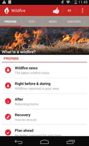 Wildfire - American Red Cross 2