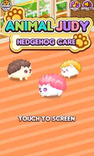 Animal Judy: Hedgehog care 1