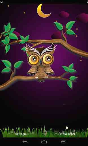 Cute owl 1