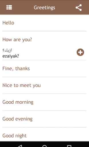 Egyptian Arabic Phrasebook 4