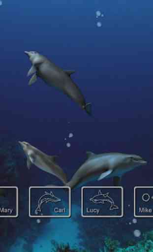 EON Dolphin Delights 1