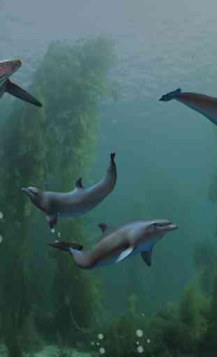 EON Dolphin Delights 2