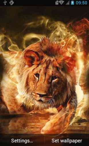 Fiery lion live wallpaper 1