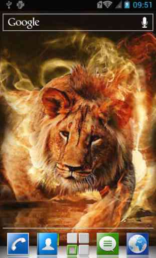 Fiery lion live wallpaper 3