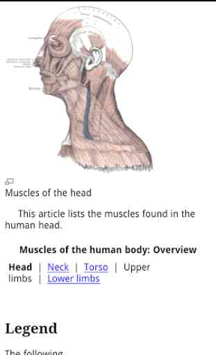 Human Anatomy 2