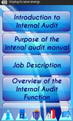 Internal Audit P&P Manual Demo 1