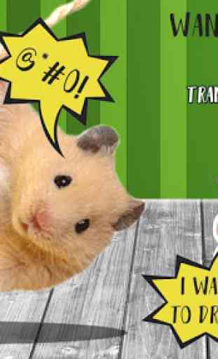 Translator Hamster. Joke 1