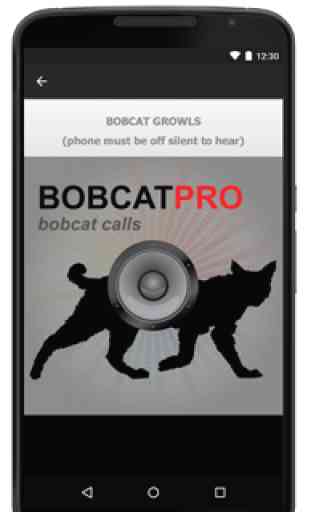Bobcat Calls - Bobcat Sounds 1