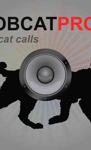 Bobcat Calls - Bobcat Sounds 3