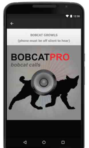 Bobcat Calls - Bobcat Sounds 4
