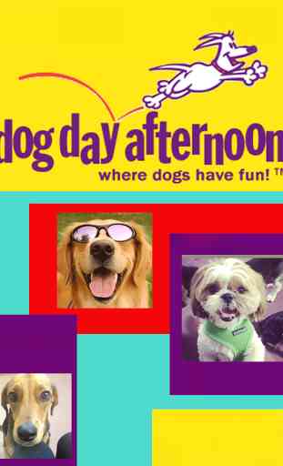 Dog Day Afternoon 1