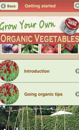 Grow Organic Herbs FREE 3
