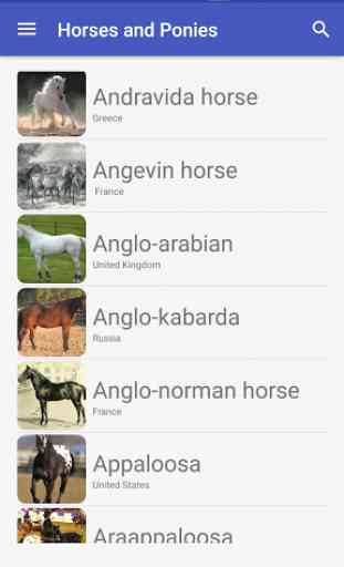 Horse breeds and pony guide 1