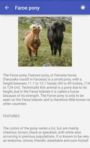 Horse breeds and pony guide 3