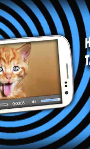 Hypnosis: training cat joke 2